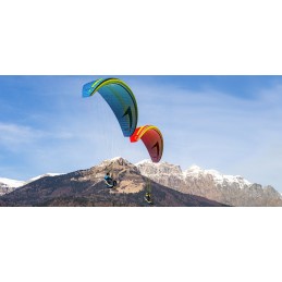 Swing Miura 2 RS
